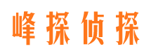 潜山市场调查